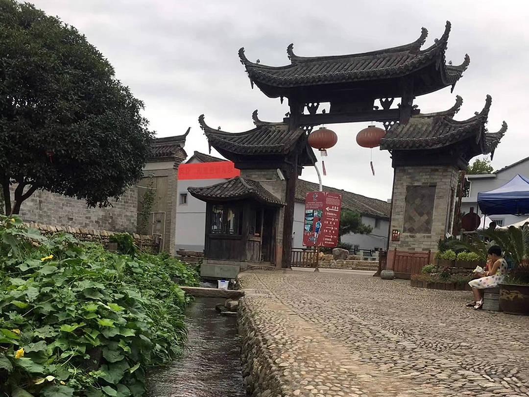 狐狸的旅程